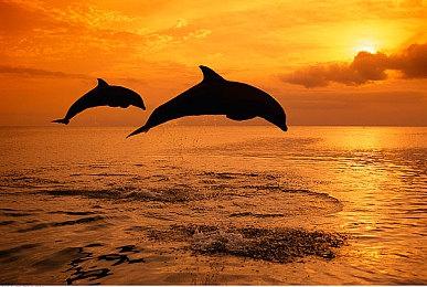 暴雪正在免费送出PC Game Pass一个月会员