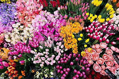 《生化危机4》民间HD版新视频 明年2月2日推出