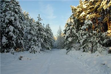 《奇异世界：灵魂风暴》正式宣布推出Xbox版本